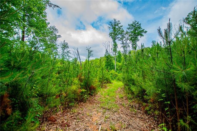 0 Lindsey Lake Road, Dallas, GA 30157