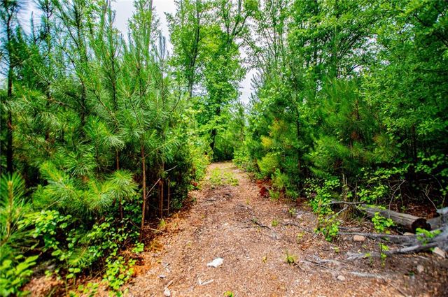0 Lindsey Lake Road, Dallas, GA 30157