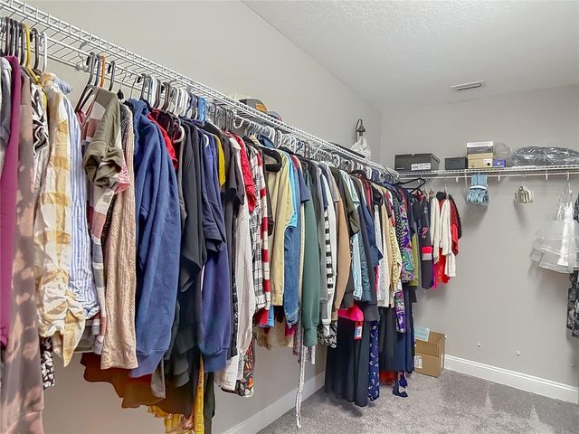 29909 CEDAR WAXWING DRIVE, Wesley Chapel, FL 33545