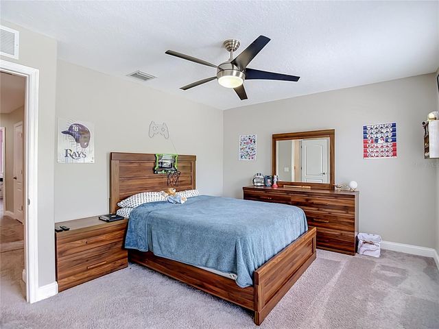29909 CEDAR WAXWING DRIVE, Wesley Chapel, FL 33545