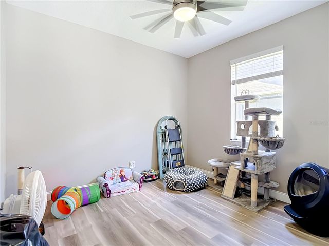 29909 CEDAR WAXWING DRIVE, Wesley Chapel, FL 33545