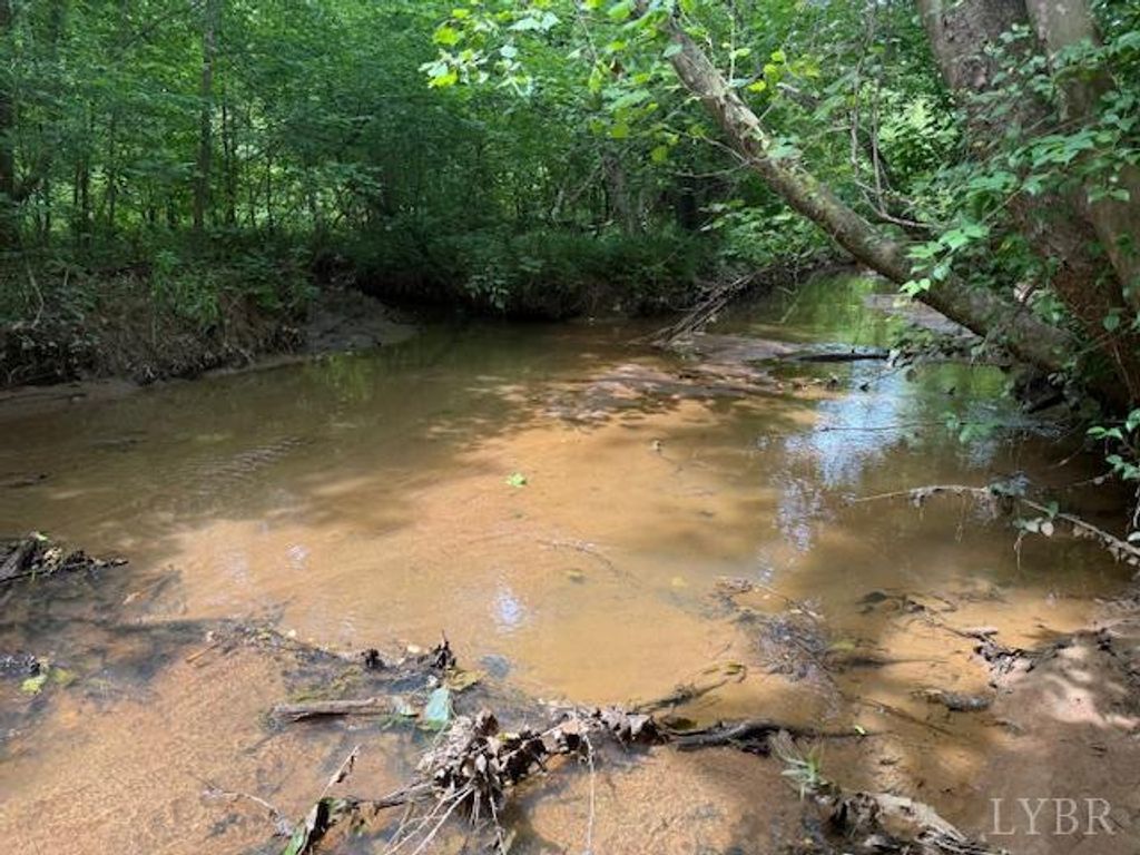 Image 48 of property listing at 1228 Rosser Mill Road, Pamplin, VA 23958