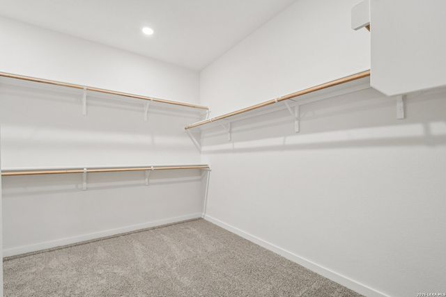 502 Salamander, San Marcos, TX 78666