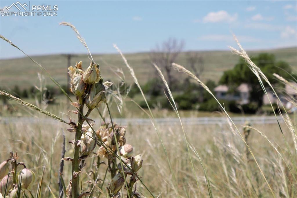 Tract 17 Sweet Road, Calhan, CO 80808 — photo 4