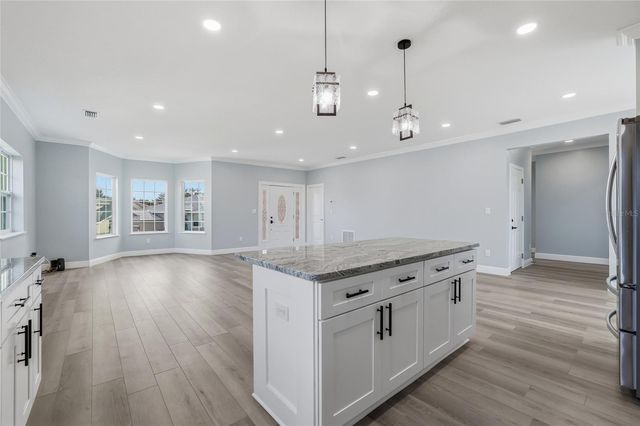 1083 S POINTE ALEXIS DRIVE, Tarpon Springs, FL 34689