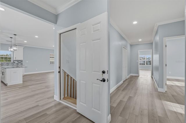 1083 S POINTE ALEXIS DRIVE, Tarpon Springs, FL 34689