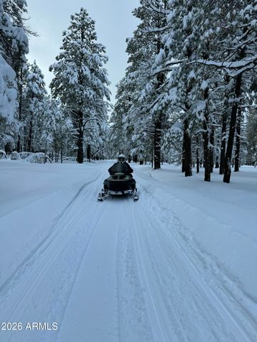 805 E OAK Drive, Munds Park, AZ 86017