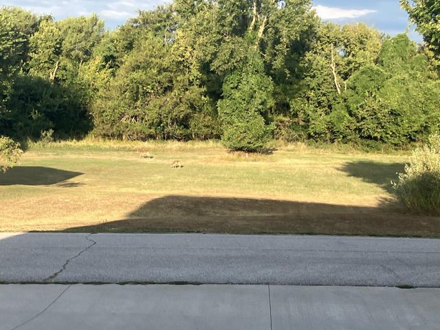 670 N Sunset Avenue, Bolivar, MO 65613