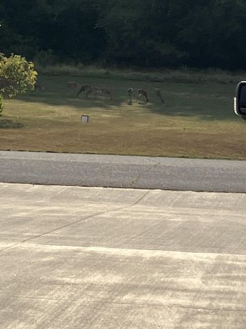 670 N Sunset Avenue, Bolivar, MO 65613