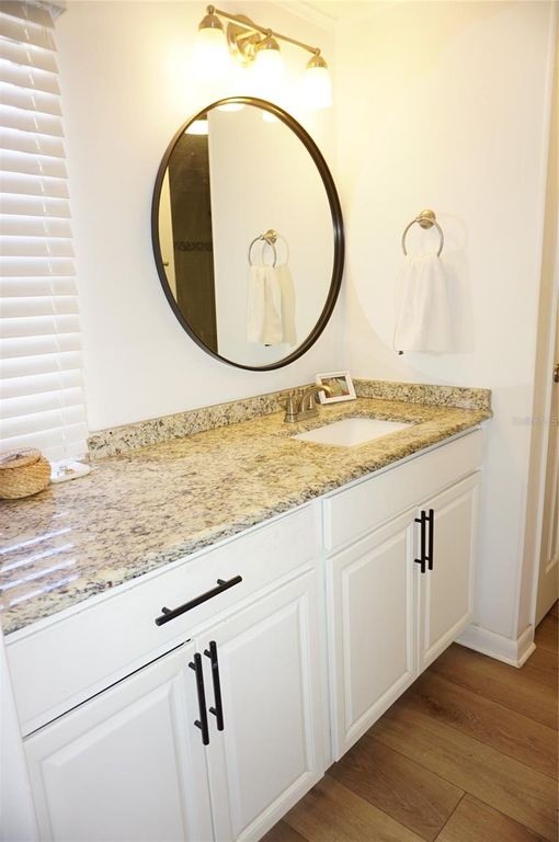 Image 24 of property listing at 21052 LITTLE MAGENS LOOP, Lutz, FL 33558