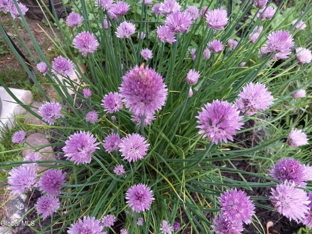 3 Crescent Drive, Albany, NY 12208