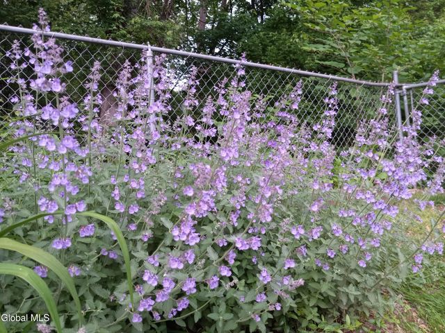 3 Crescent Drive, Albany, NY 12208