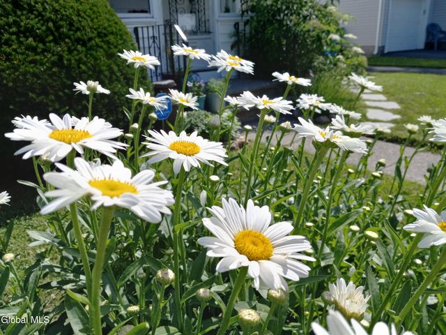 3 Crescent Drive, Albany, NY 12208