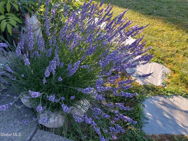 3 Crescent Drive, Albany, NY 12208