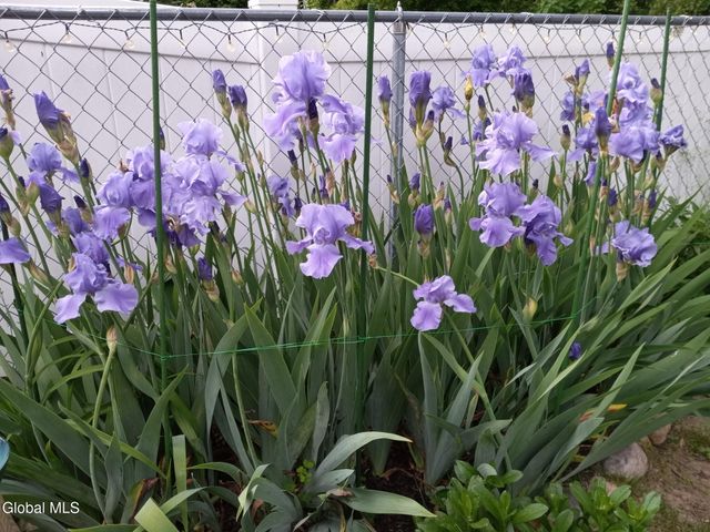 3 Crescent Drive, Albany, NY 12208