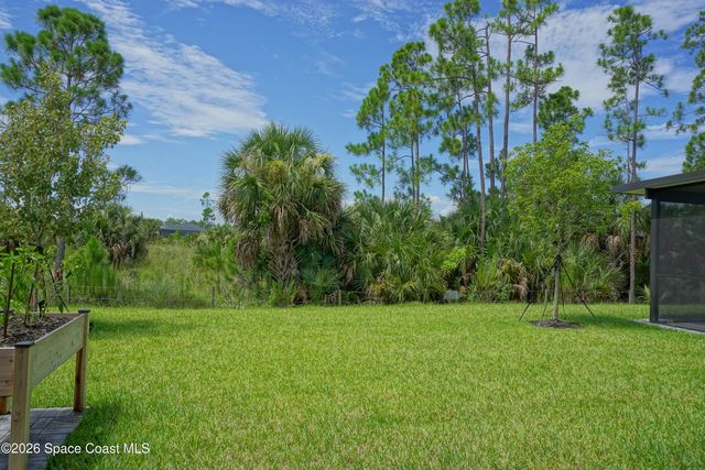 1916 Cerulean Drive NW, Palm Bay, FL 32907