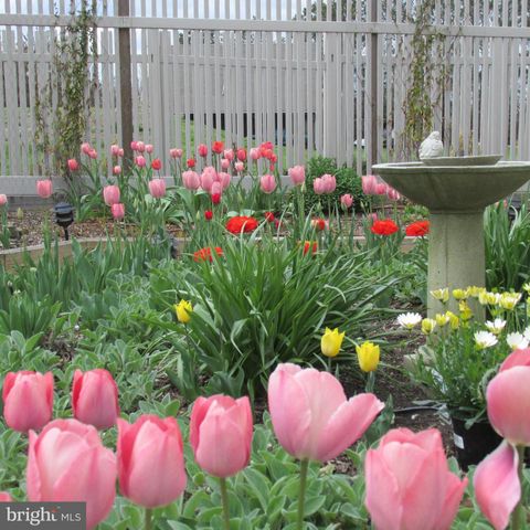 6299 BURRIS RD, Rock Hall, MD 21661