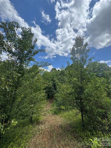 99999 Duckett Road, Candler, NC 28715