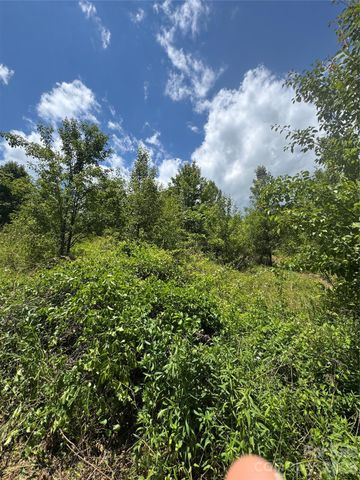 99999 Duckett Road, Candler, NC 28715