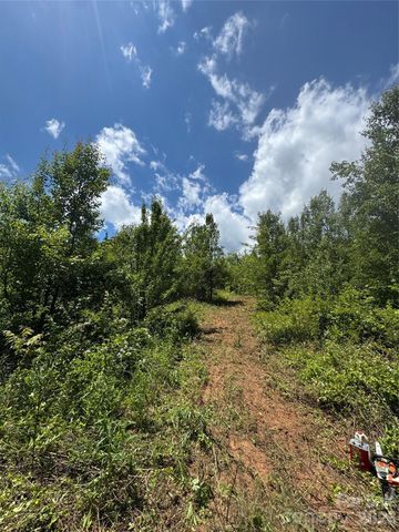 99999 Duckett Road, Candler, NC 28715