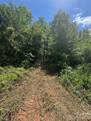 99999 Duckett Road, Candler, NC 28715