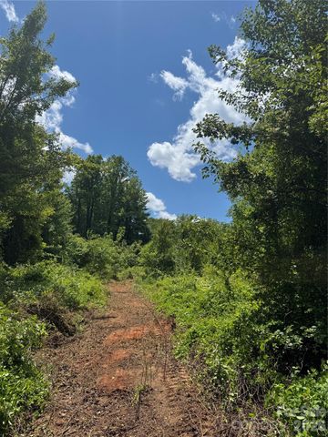 99999 Duckett Road, Candler, NC 28715
