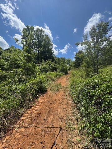 99999 Duckett Road, Candler, NC 28715