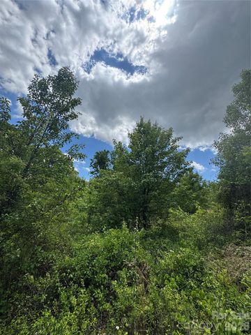 99999 Duckett Road, Candler, NC 28715