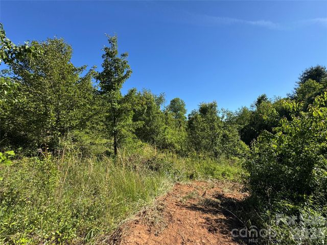 99999 Duckett Road, Candler, NC 28715