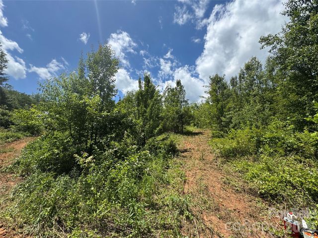 99999 Duckett Road, Candler, NC 28715