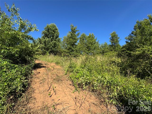 99999 Duckett Road, Candler, NC 28715