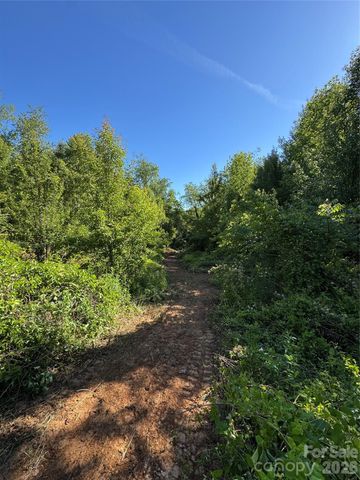 99999 Duckett Road, Candler, NC 28715
