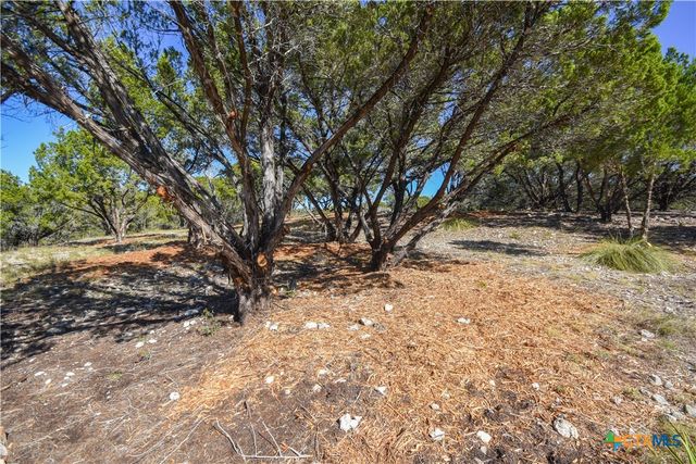 20008 Charlestown Cove, Lago Vista, TX 78645