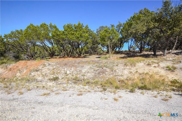 20008 Charlestown Cove, Lago Vista, TX 78645