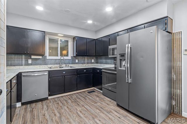 4161 Lakeview Drive, Hillsboro, MO 63050