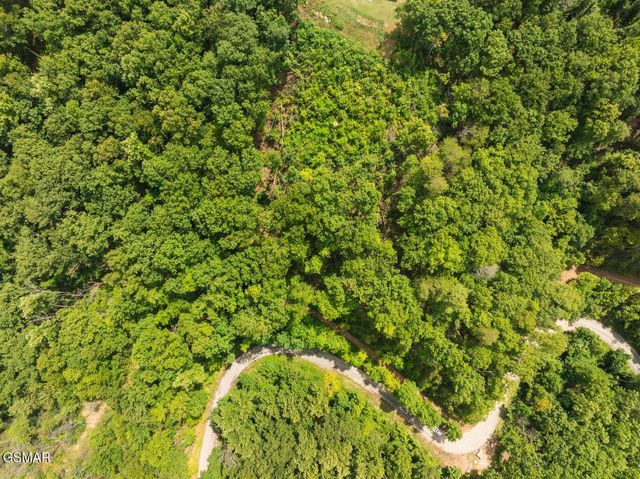 2119 Spurling Road Road, Sevierville, TN 37862