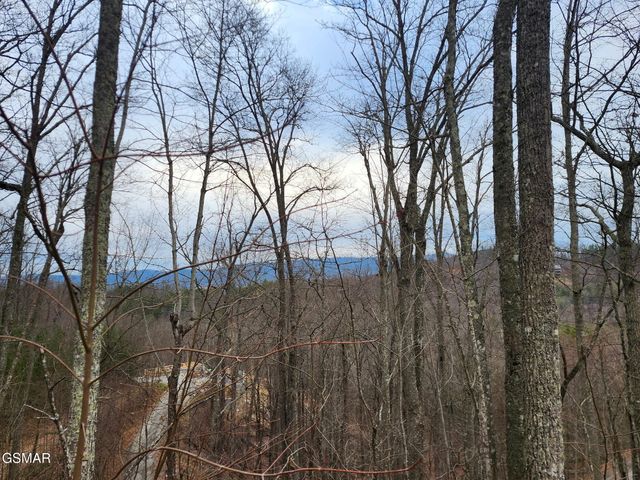 2119 Spurling Road Road, Sevierville, TN 37862