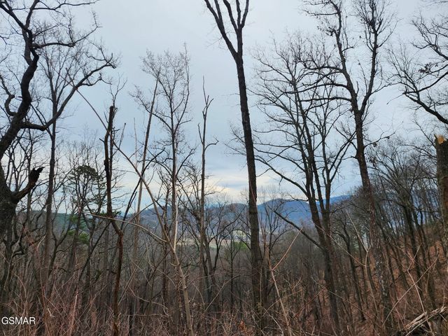 2119 Spurling Road Road, Sevierville, TN 37862
