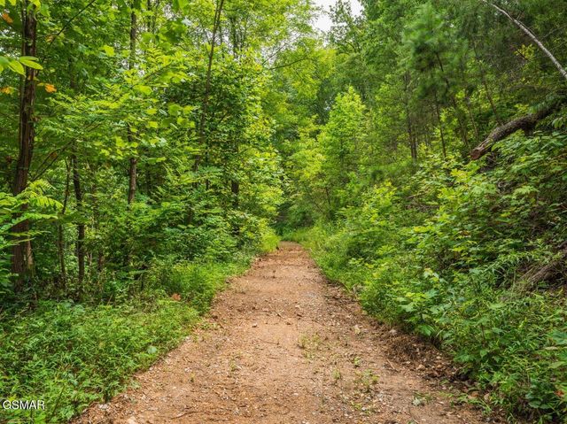 2119 Spurling Road Road, Sevierville, TN 37862