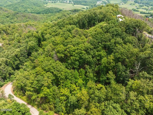 2119 Spurling Road Road, Sevierville, TN 37862