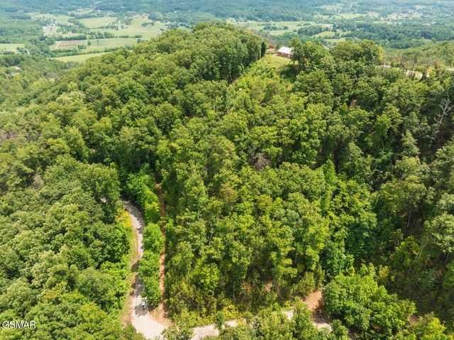 2119 Spurling Road Road, Sevierville, TN 37862