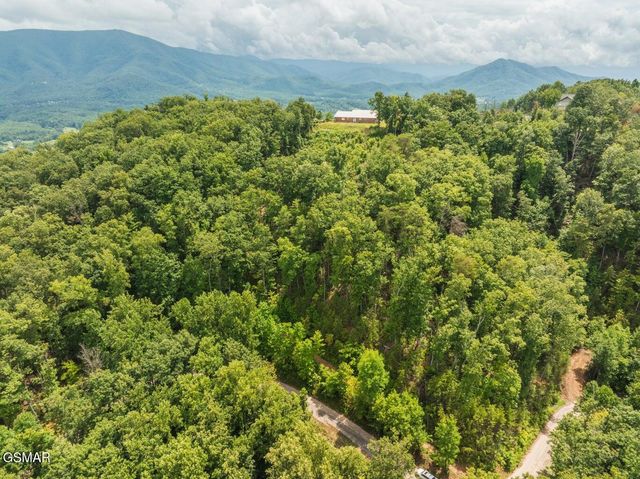 2119 Spurling Road Road, Sevierville, TN 37862