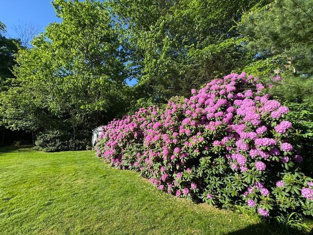 486 Belknap Rd, Framingham, MA 01701