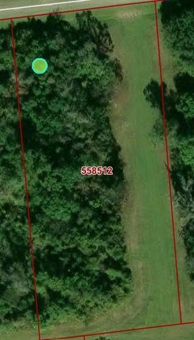 1103 W Point Drive, Rosharon, TX 77583
