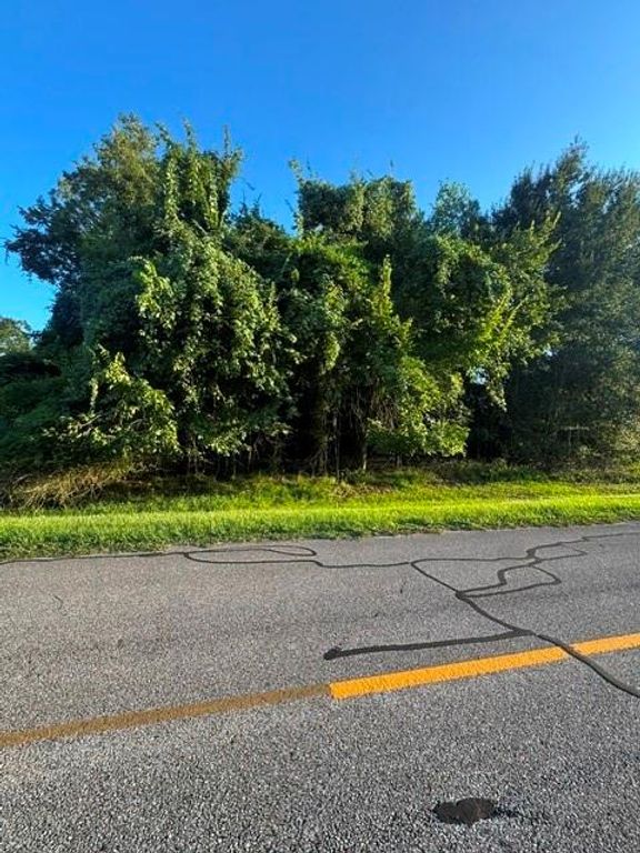1103 W Point Drive, Rosharon, TX 77583