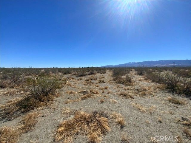 2975 Yucca Terrace, Pinon Hills, CA 92372