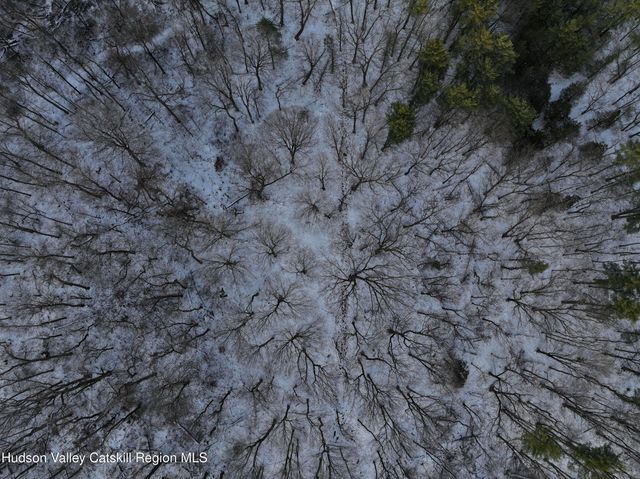 Lot 8 Hinrichsen Heights Drive, Coxsackie, NY 12051