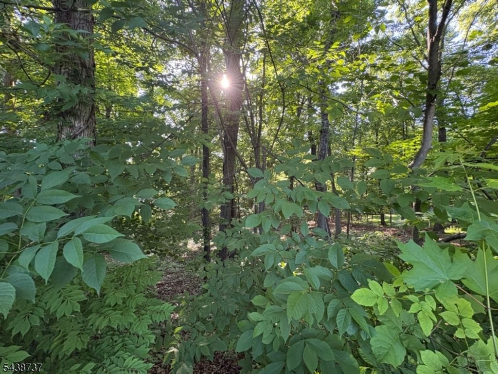 14 Up-A-Way Dr, Vernon Twp., NJ 07461 — photo 4