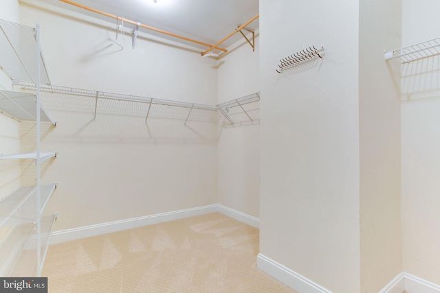 16069 PITNER ST, Haymarket, VA 20169