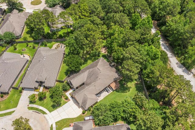 19 S Sandbells Park Lane, Montgomery, TX 77316